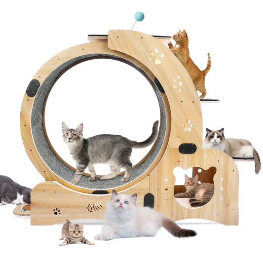 Cat Wheel 6-In-1 Cat Exercise Wheel,Upgraded Cat Wheel Exerciser for Indoor Cats,Large Cat Treadmill,Cat Running Wheel